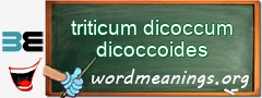 WordMeaning blackboard for triticum dicoccum dicoccoides